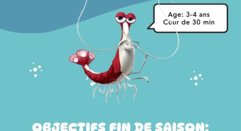 niveau rolle natation 2025 -1