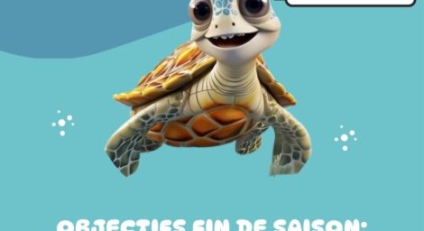 niveau rolle natation 2025-3